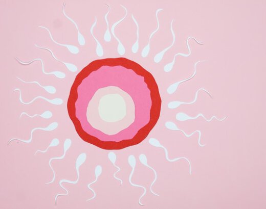 10 Fakten über Sperma, die jede Frau kennen sollte